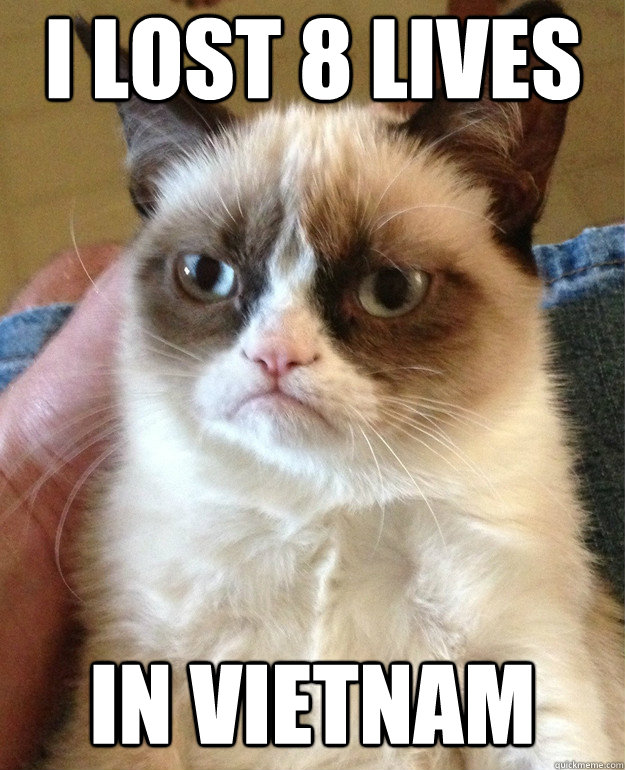 I LOST 8 LIVES IN VIETNAM  Grumpy Cat