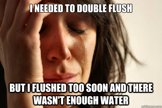 i needed to double flush but i flushed too soon and there wasn't enough water  First World Problems