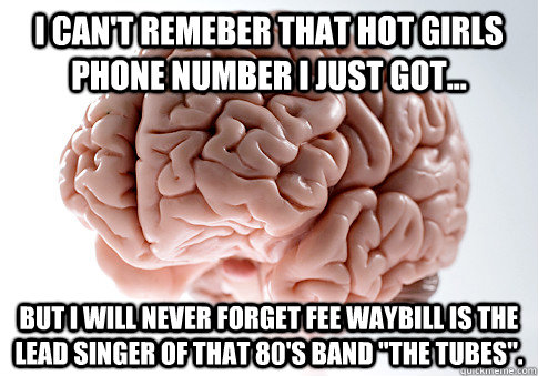 I can't remeber that hot girls phone number I just got... But i will never forget Fee Waybill is the lead singer of that 80's band 