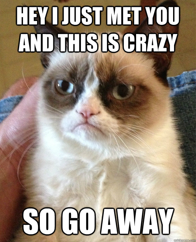 Hey I just met you and this is crazy so go away  Grumpy Cat