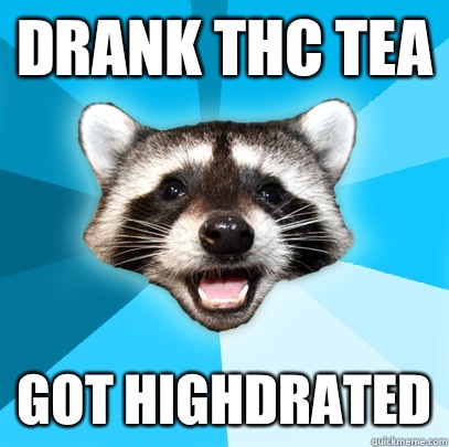 Drank THC tea Got highdrated  Lame Pun Coon