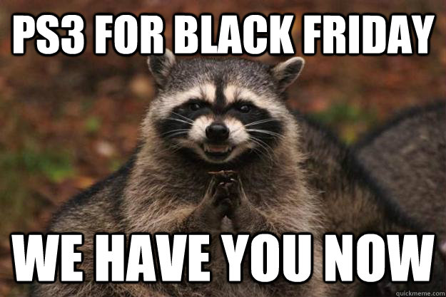 Ps3 for black friday We have you now  Evil Plotting Raccoon