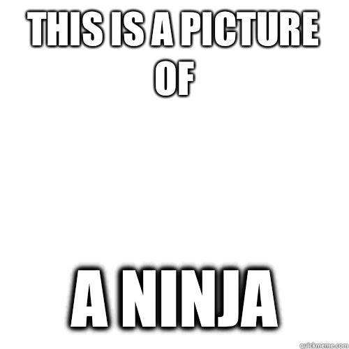 This is a picture of A ninja - This is a picture of A ninja  Meme