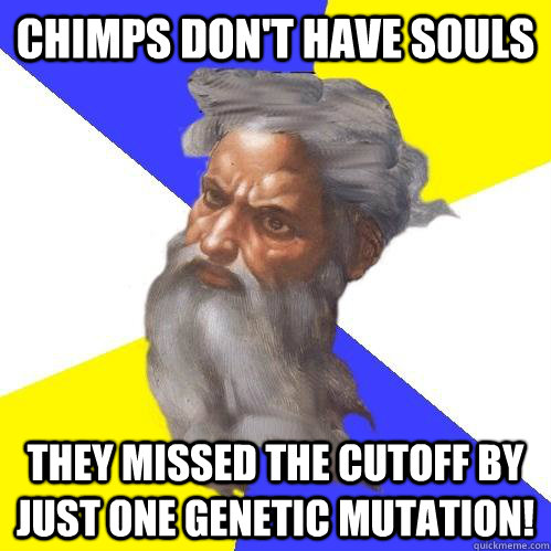 Chimps don't have souls They missed the cutoff by just one genetic mutation!  Advice God