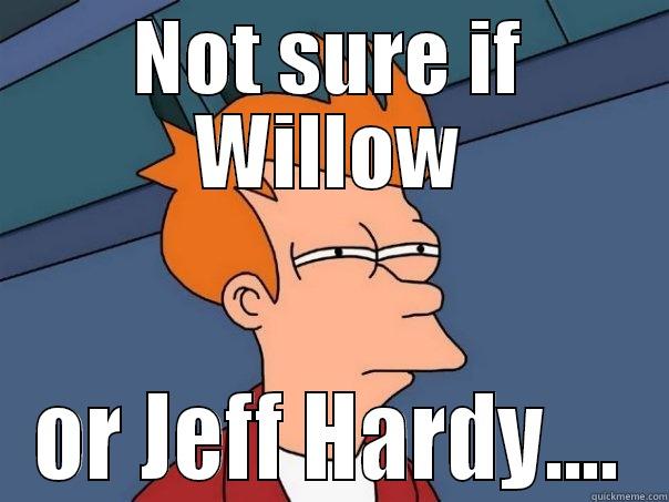 NOT SURE IF WILLOW OR JEFF HARDY.... Futurama Fry