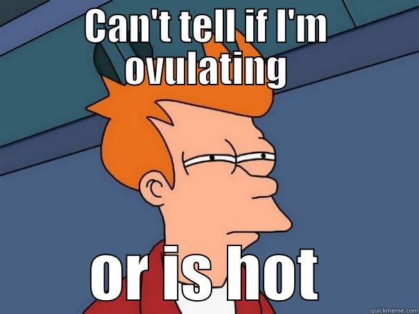 CAN'T TELL IF I'M OVULATING OR IS HOT Futurama Fry