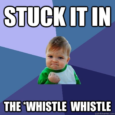 Stuck it in The *whistle  Whistle  Success Kid