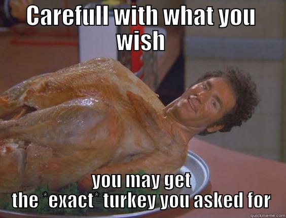 CAREFULL WITH WHAT YOU WISH YOU MAY GET THE *EXACT* TURKEY YOU ASKED FOR Misc