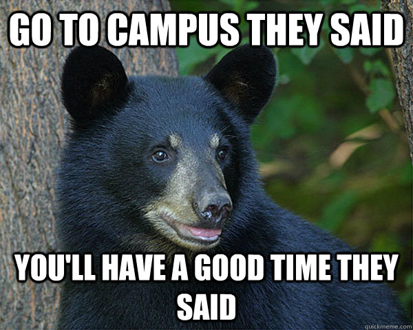 go to campus they said you'll have a good time they said - go to campus they said you'll have a good time they said  Sassy black bear