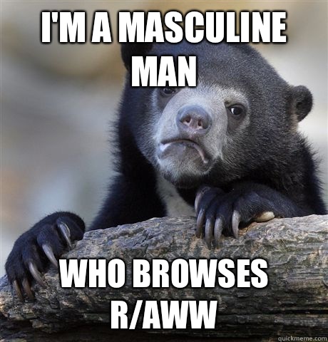 I'm a masculine man who browses r/aww  Confession Bear