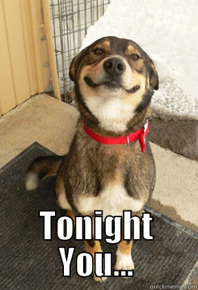  TONIGHT YOU... Good Dog Greg