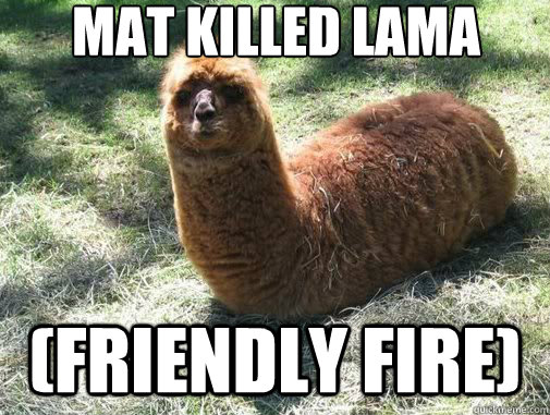 mat killed lama caterpillar (friendly fire) - mat killed lama caterpillar (friendly fire)  Alpacapillar