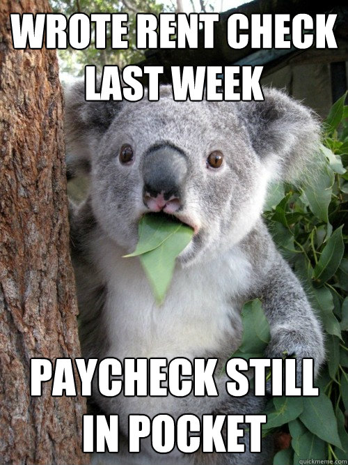 wrote rent check 
last week paycheck still in pocket  Surprised Koala