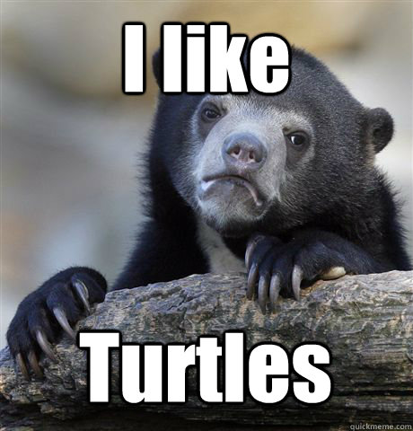 I like Turtles  Confession Bear