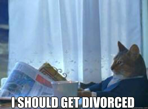 I should get divorced    I should buy a boat cat