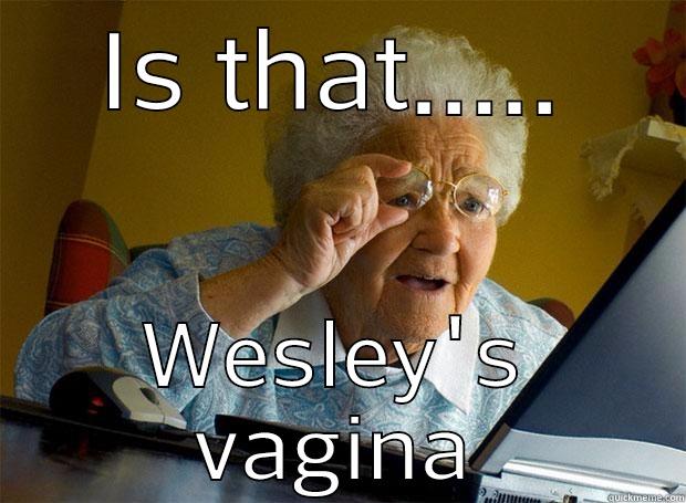 IS THAT..... WESLEY'S VAGINA Grandma finds the Internet