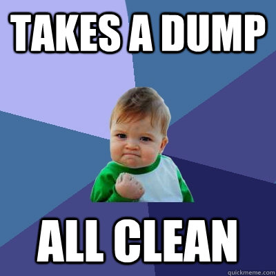 takes a dump all clean  Success Kid