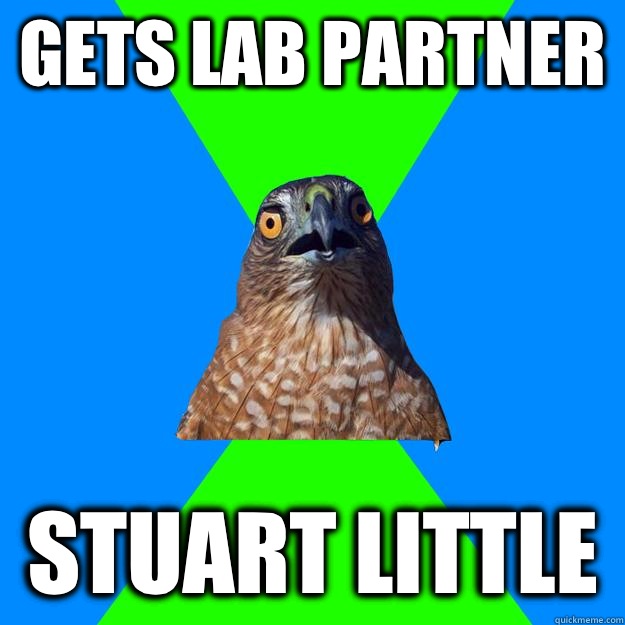 Gets lab partner  Stuart little   Hawkward