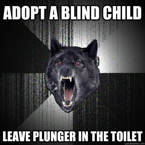 adopt a blind child leave plunger in the toilet - adopt a blind child leave plunger in the toilet  Insanity Wolf