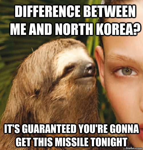 DIFFERENCE BETWEEN ME AND NORTH KOREA? IT'S GUARANTEED YOU'RE GONNA GET THIS MISSILE TONIGHT  rape sloth