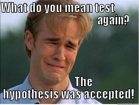 WHAT DO YOU MEAN TEST                                                        AGAIN?               THE HYPOTHESIS WAS ACCEPTED! 1990s Problems