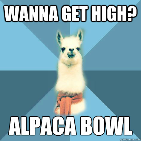 wanna get high? alpaca bowl  Linguist Llama
