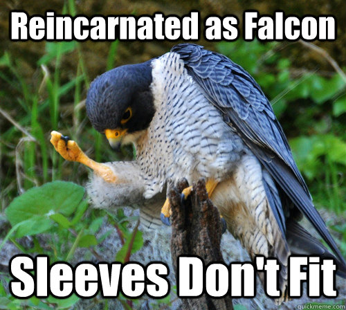 Reincarnated as Falcon Sleeves Don't Fit  