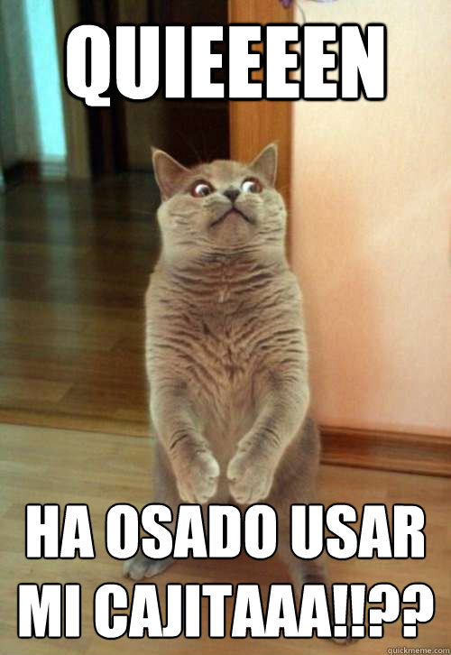 Quieeeen ha osado usar mi cajitaaa!!?? - Quieeeen ha osado usar mi cajitaaa!!??  Horrorcat