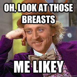 Oh, look at those breasts me likey  Condescending Wonka