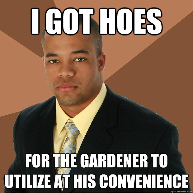 i got hoes for the gardener to utilize at his convenience  Successful Black Man