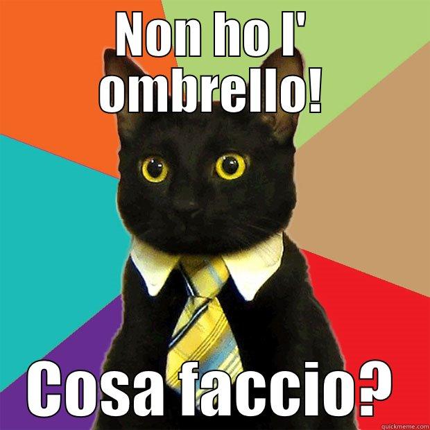 NON HO L' OMBRELLO! COSA FACCIO? Business Cat