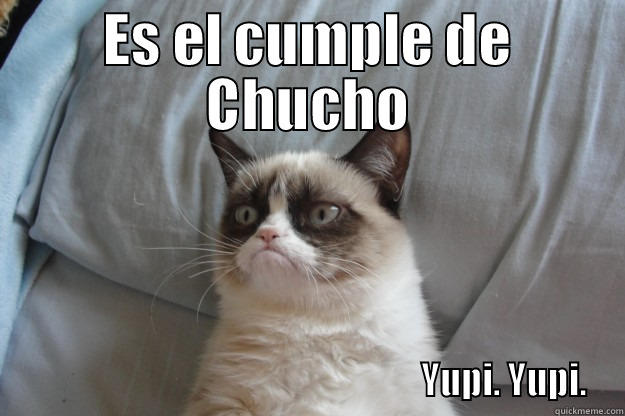 ES EL CUMPLE DE CHUCHO                                                           YUPI. YUPI. Grumpy Cat