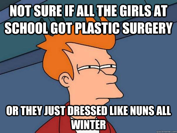 Not sure if all the girls at school got plastic surgery or they just dressed like nuns all winter  Futurama Fry