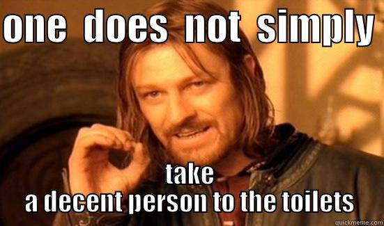 ladies and gentlemen…..my cousin - ONE  DOES  NOT  SIMPLY  TAKE A DECENT PERSON TO THE TOILETS Boromir