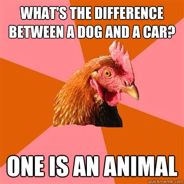 What's the difference between a dog and a car? one is an animal  Anti-Joke Chicken