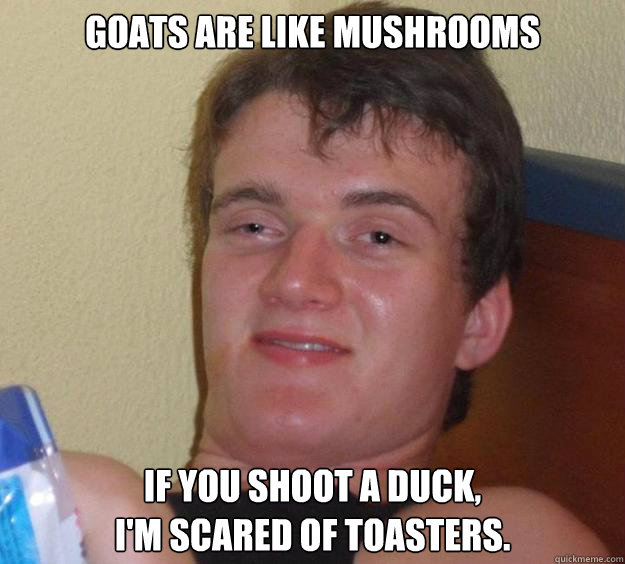 Goats are like mushrooms If you shoot a duck,
I'm scared of toasters.  10 Guy