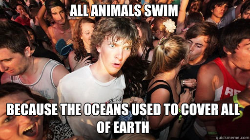 All animals swim
 Because the oceans used to cover all of earth  Sudden Clarity Clarence