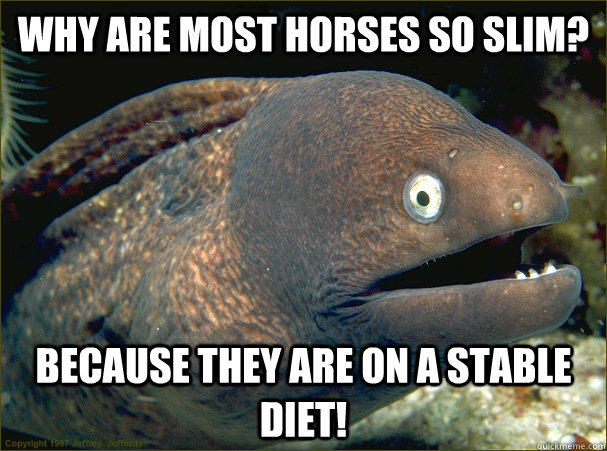 Why are most horses so slim? Because they are on a stable diet!  
