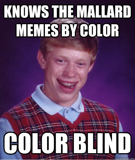 Knows the mallard memes by color Color blind - Knows the mallard memes by color Color blind  Bad Luck Brian