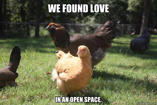 we found love in an open space.   We Found Love