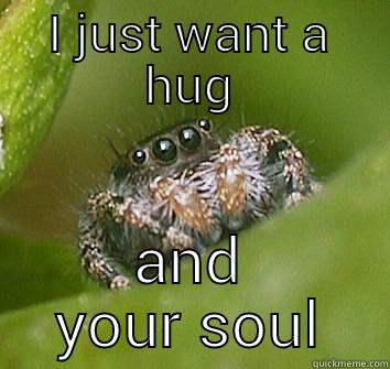 I JUST WANT A HUG AND YOUR SOUL Misunderstood Spider