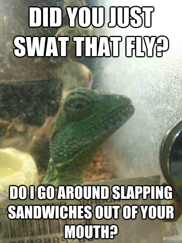 did you just swat that fly? do I go around slapping sandwiches out of your mouth?  Leery Lizard