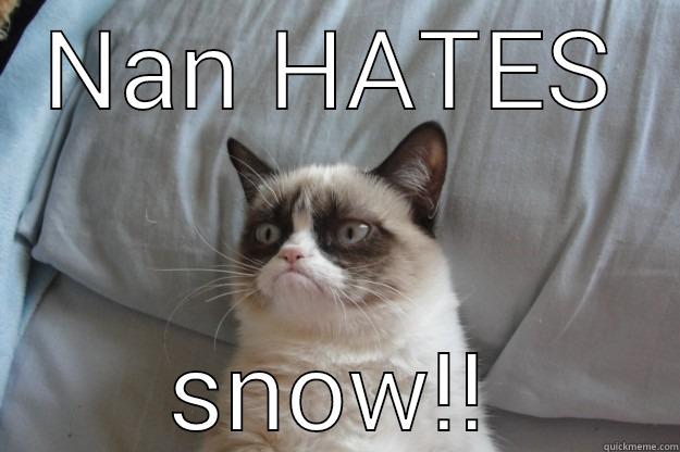 NAN HATES SNOW!! Grumpy Cat