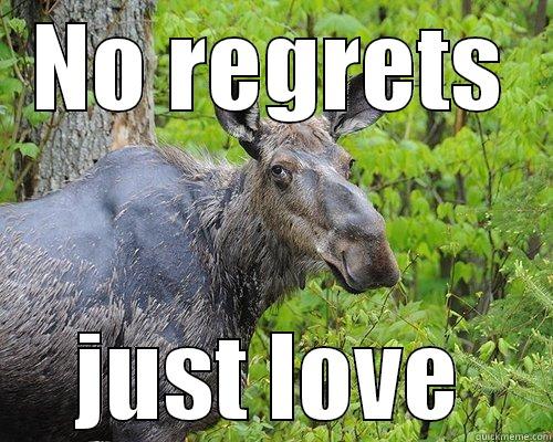 Sexy moose - NO REGRETS JUST LOVE Misc