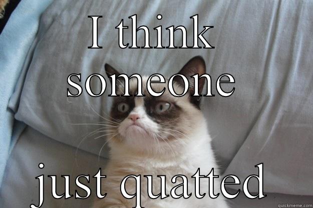 I THINK SOMEONE JUST QUATTED Grumpy Cat