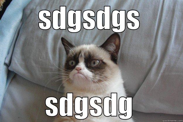 sdgsdg safsa a - SDGSDGS SDGSDG Grumpy Cat