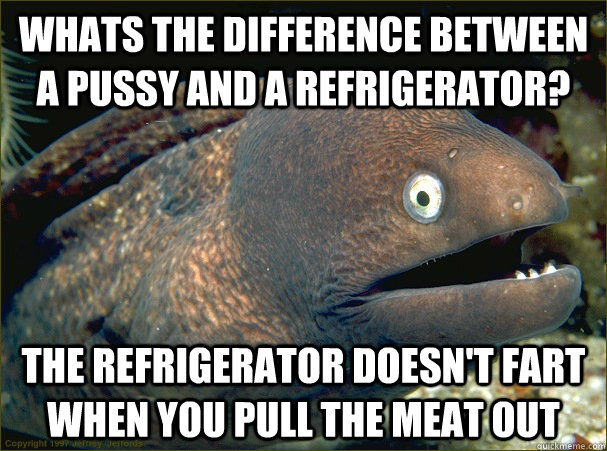 whats the difference between a pussy and a refrigerator? the refrigerator doesn't fart when you pull the meat out  Bad Joke Eel