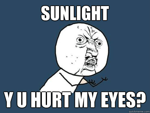 sunlight y u hurt my eyes?  Y U No