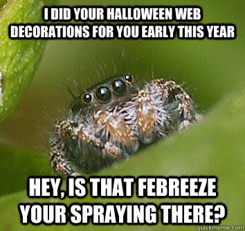 I did your Halloween web decorations for you early this year Hey, is that febreeze your spraying there?  Misunderstood Spider