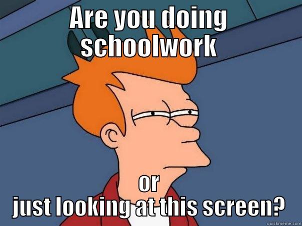 ARE YOU DOING SCHOOLWORK OR JUST LOOKING AT THIS SCREEN? Futurama Fry